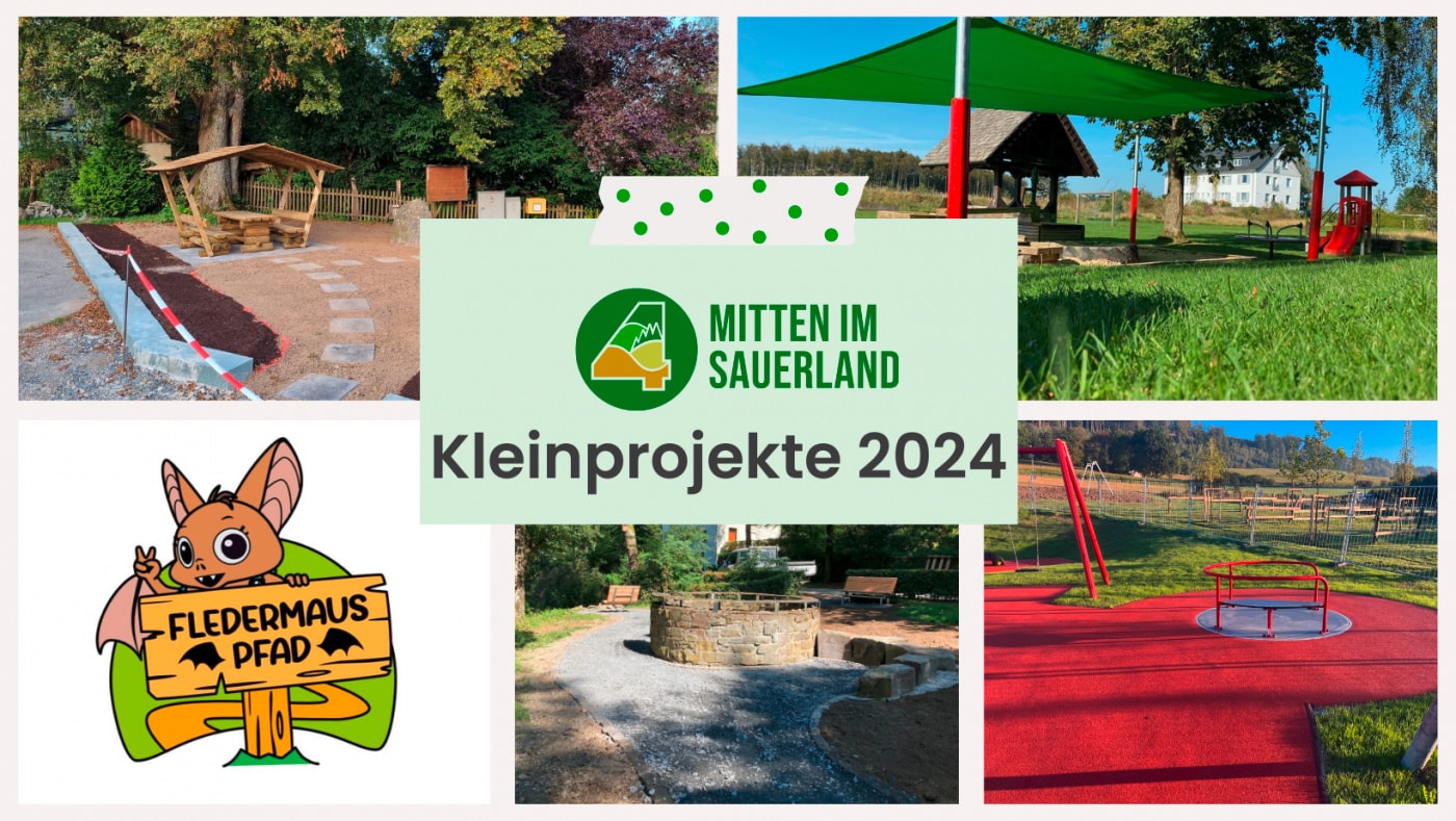 Übersicht Collage Kleinprojekte 2024